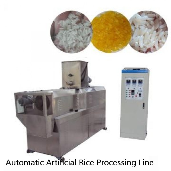 Automatic Artificial Rice Processing Line